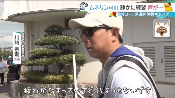 中日・川﨑宗則“臨時コーチ兼選手”に「異変」が…？