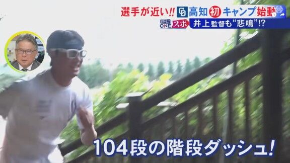 中日ドラゴンズ高知秋季キャンプ、階段ダッシュに選手たちも思わず…【動画】