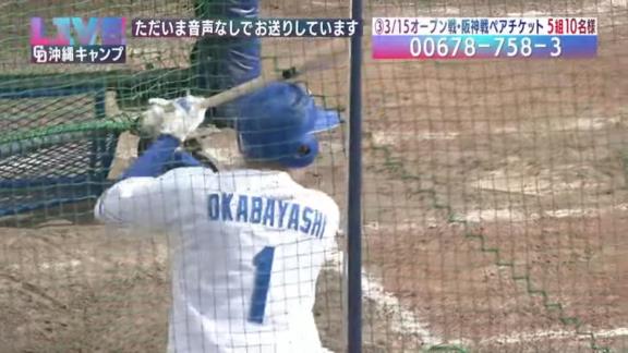 「OKABAYASHI　1」　中日・岡林勇希、背番号1姿を初披露！！！