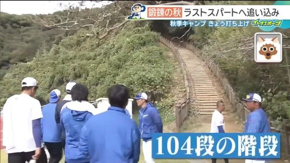 中日ドラゴンズ高知秋季キャンプでの階段ダッシュにコーチ陣も参加すると…【動画】