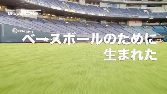 中日 立浪新政権へ本拠地もバックアップ バンテリンドームの人工芝を全面張り替え 巻き取り式から脱却して固定式に切り替え 天然芝に近い仕様に 費用は約4億円 ドラ要素 のもとけ 中日 立浪新政権へ本拠地もバックアップ バンテリンドームの人工芝を全面張り替え 巻き取り式から脱却して固定式に切り替え 天然芝に近い仕様に 費用は約4億円 ドラ要素 のもとけ