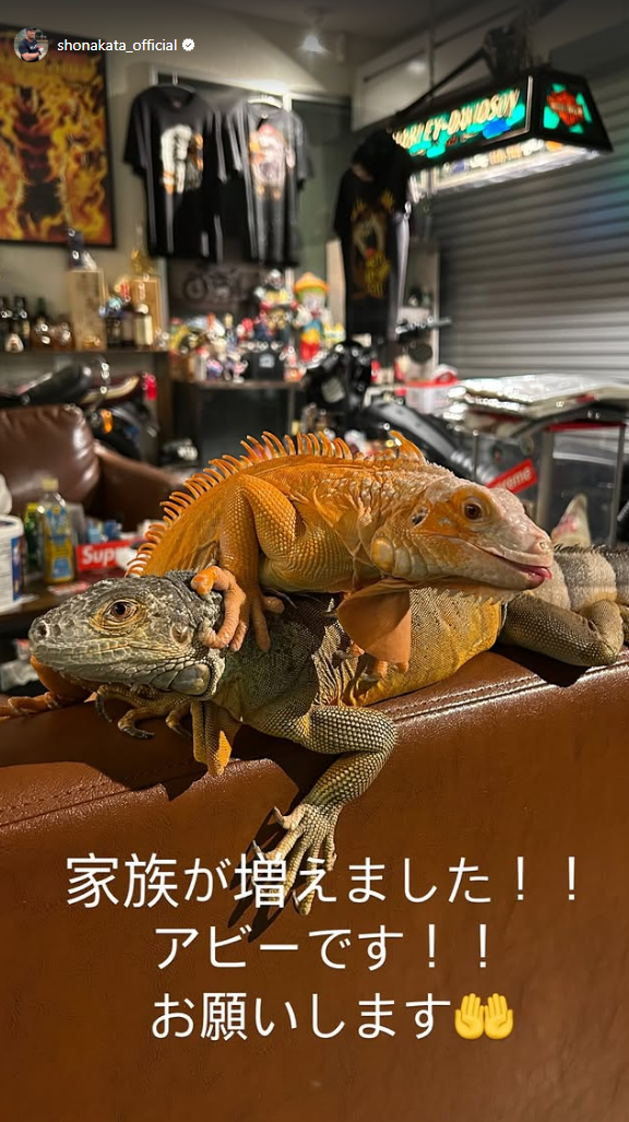 元中日・中田翔さん「家族が増えました！！ アビーです！！ お願いします」