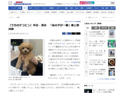 「可愛いでしょ。本当に可愛いんですよ」「やっぱり、あの子が一番可愛いね」　中日・清水達也、愛犬を公開する