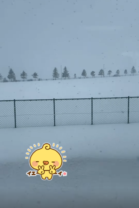 中日・カリステ、雪景色を撮影する