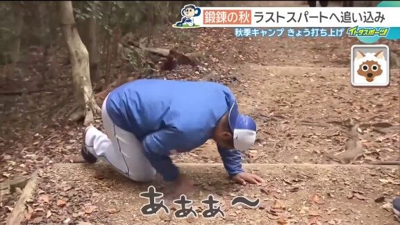 中日ドラゴンズ高知秋季キャンプでの階段ダッシュにコーチ陣も参加すると…【動画】