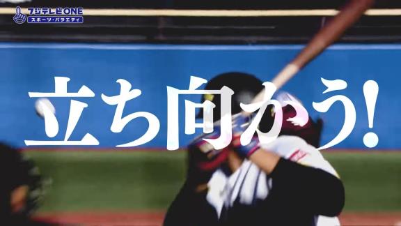 12月8日放送　2021年 プロ野球12球団合同トライアウト　テレビ＆インターネット中継情報