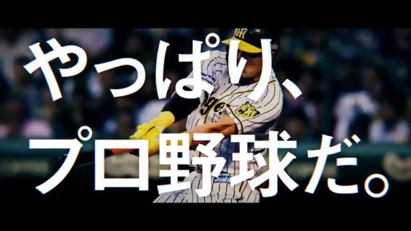 スカパー！のCMがカッコよすぎる…！「やっぱり、プロ野球だ。」【動画】