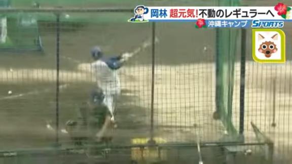 中日・岡林勇希、柵越えを披露！！！【動画】