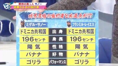 サンデードラゴンズ「サノー選手、この選手と深い関係があることに気づきました」