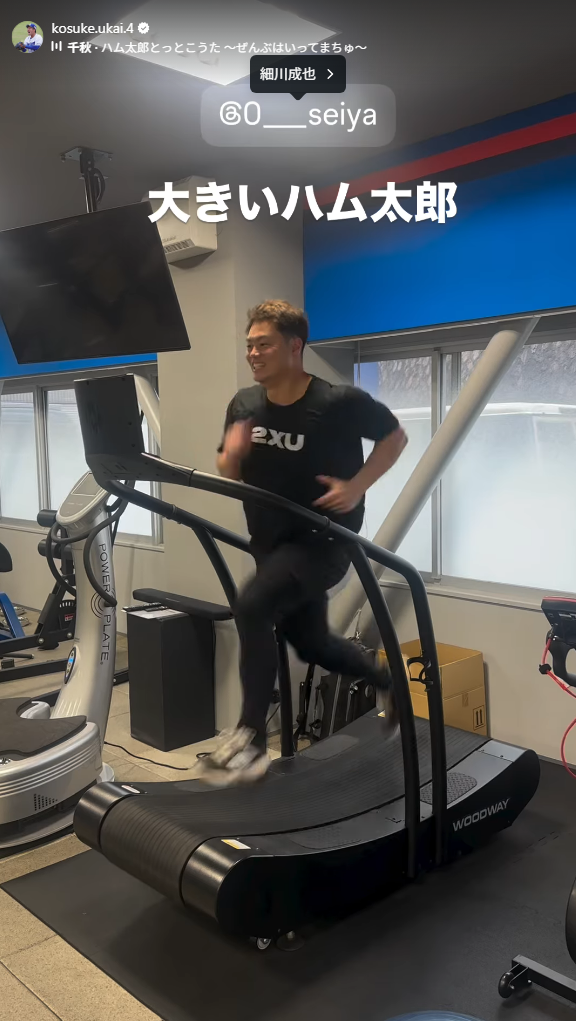 中日・鵜飼航丞「大きいハム太郎」【動画】