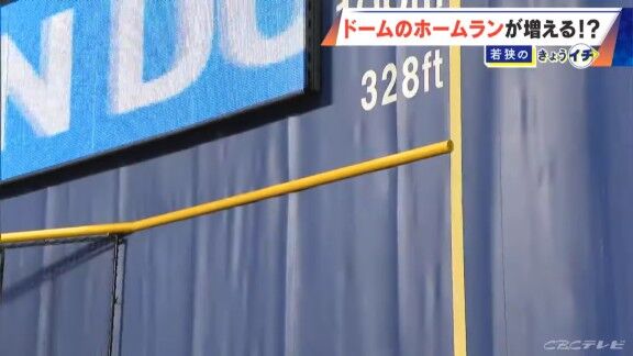 ホームランになったかどうかはここで判定 バンテリンドーム『ホームランウイング』のホームランライン