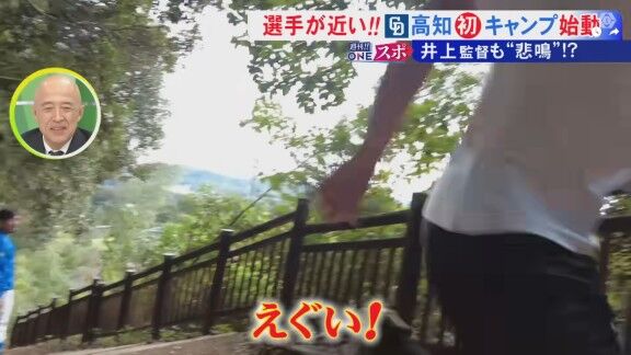 中日ドラゴンズ高知秋季キャンプ、階段ダッシュに選手たちも思わず…【動画】