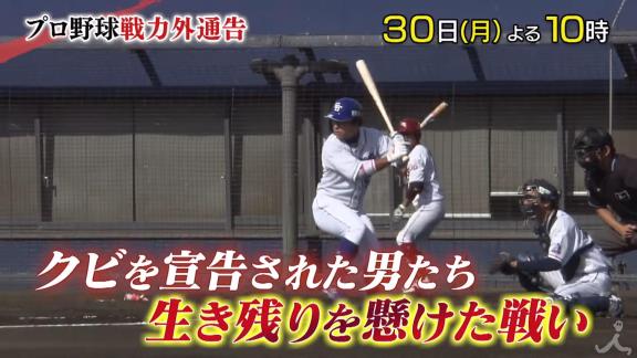 プロ 野球 戦力 外 通告 クビ を 宣告 され た 男 達