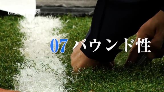 中日・立浪新政権へ本拠地もバックアップ！　バンテリンドームの人工芝を全面張り替え、巻き取り式から脱却して固定式に切り替え！天然芝に近い仕様に！　費用は約4億円