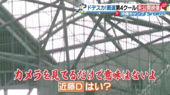 中日・福留孝介「今、ドデスカ！って誰がやっているの？」　若手ディレクター「竹田と望木アナ」　福留「もつき？」　若手D「望木と竹田っていう人が」　福留「竹澤さんっていう人と、もつき？」　若手D「もちきです」