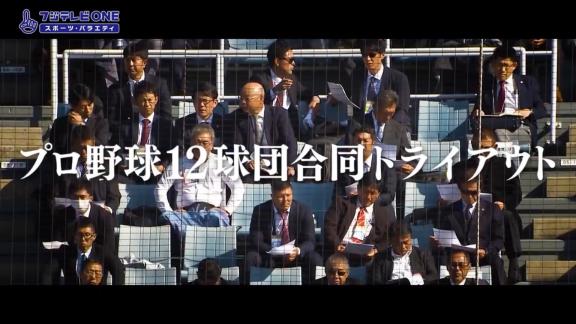 2020年『プロ野球12球団合同トライアウト』の中継情報が判明！