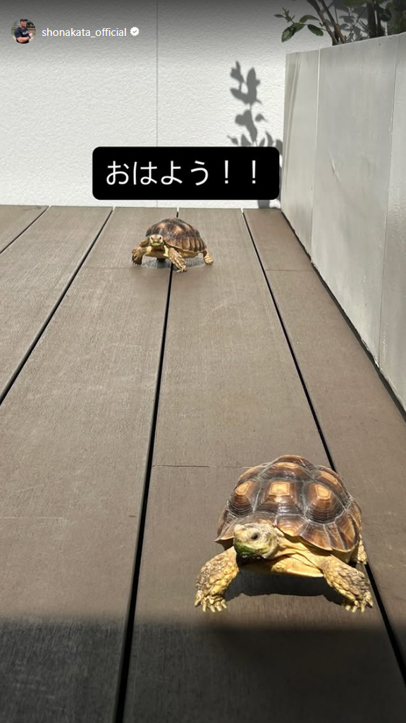 中日・中田翔「おはよう！！」