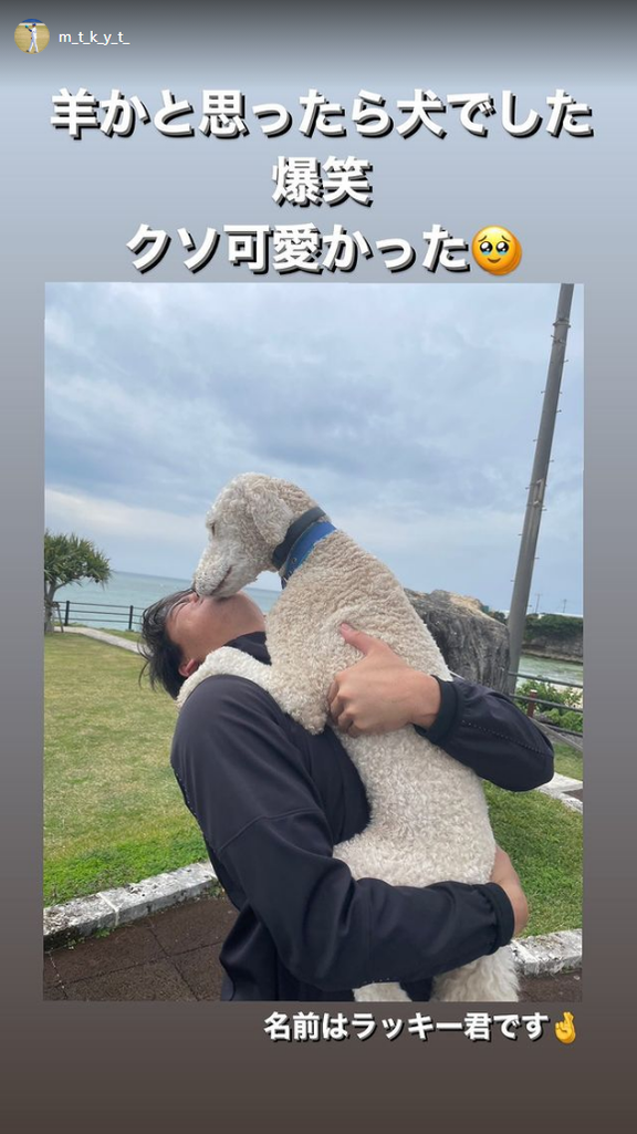 中日・松木平優太投手「羊かと思ったら犬でした」
