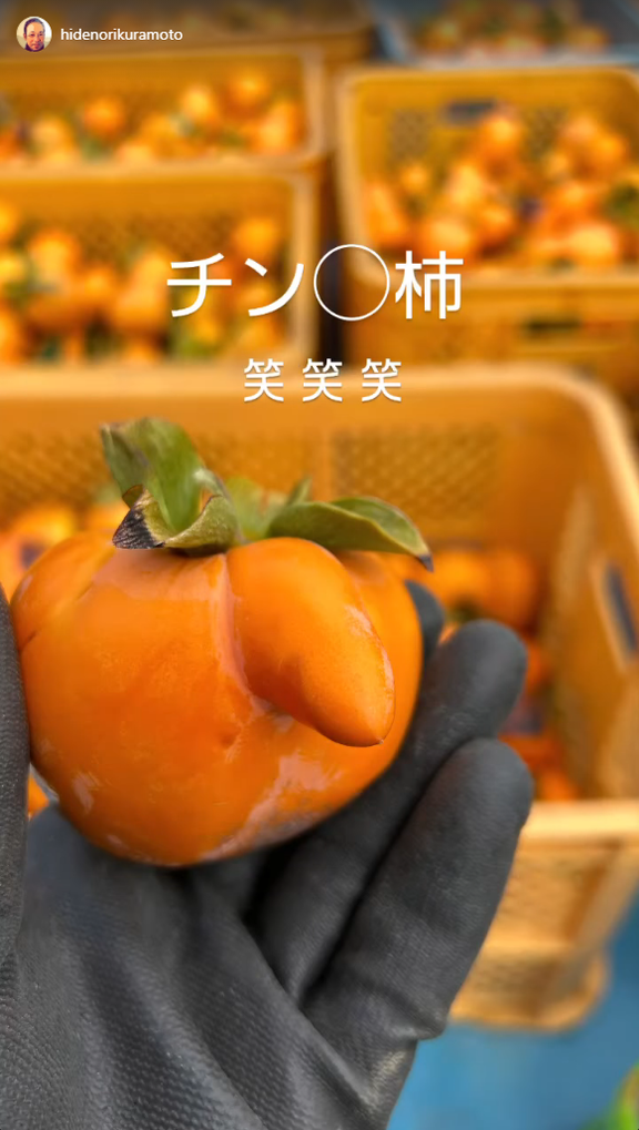 元中日コーチ・英智さん、柿を収穫する