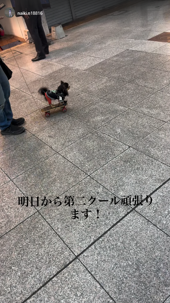 中日・中村奈一輝「明日から第二クール頑張ります！」