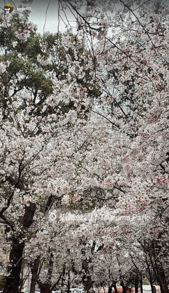 中日・知野直人、鶴舞公園を訪れる