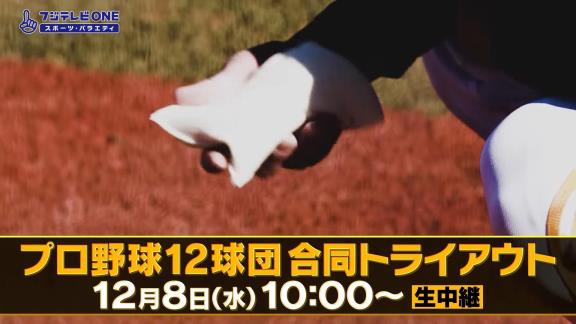 12月8日放送　2021年 プロ野球12球団合同トライアウト　テレビ＆インターネット中継情報