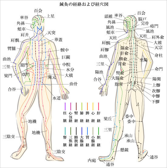 経絡 経穴 に効くツボというものは存在しない 出張往診鍼灸 大樹鍼灸 ひがしとつか大樹鍼灸のブログ 横浜 川崎 鎌倉 藤沢 東京都23区を中心に 経絡 経穴 に効くツボというものは存在しない 出張往診鍼灸 大樹鍼灸 ひがしとつか大樹鍼灸のブログ 横浜 川崎 鎌倉 藤沢 東京都23区を中心に