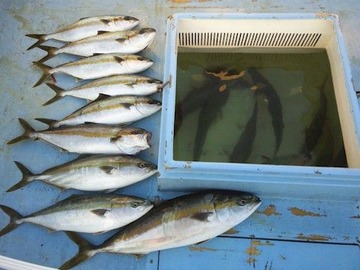 20120709�������2