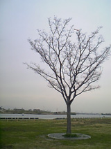 2006032402