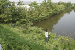 2006060402