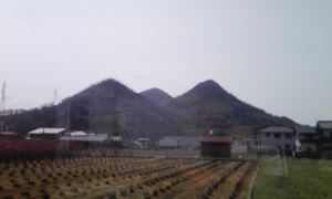 2009033005