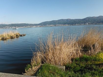 DSCF1773