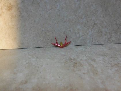 DSCF4119