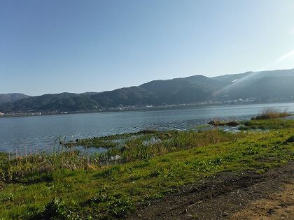 DSCF1772