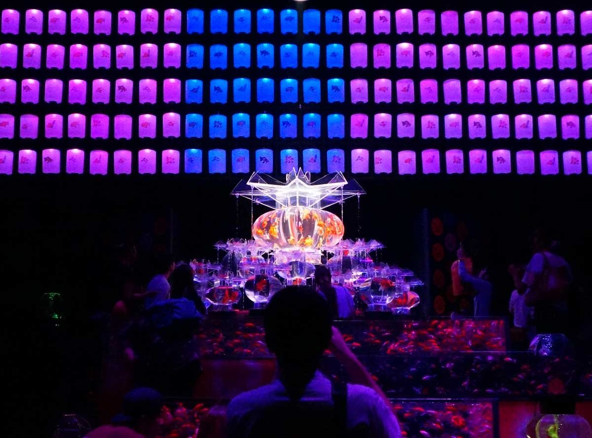 アートアクアリウム広島 ｎｔｔクレドホールへ行ってきた 土橋わいわいブログ