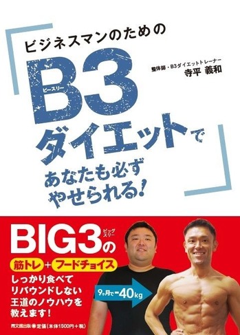 53811 B3¥À¥¤¥¨¥Ã¥È