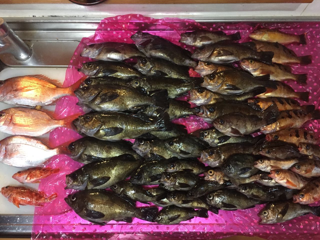 メバルを辻が花で 19年03月07日 木 の晩ごはん 奮闘絵日記 食べてばっか Bite Slowly Taste Carefuly