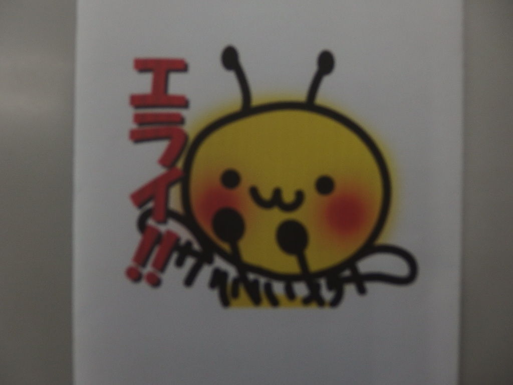 イメージ 3