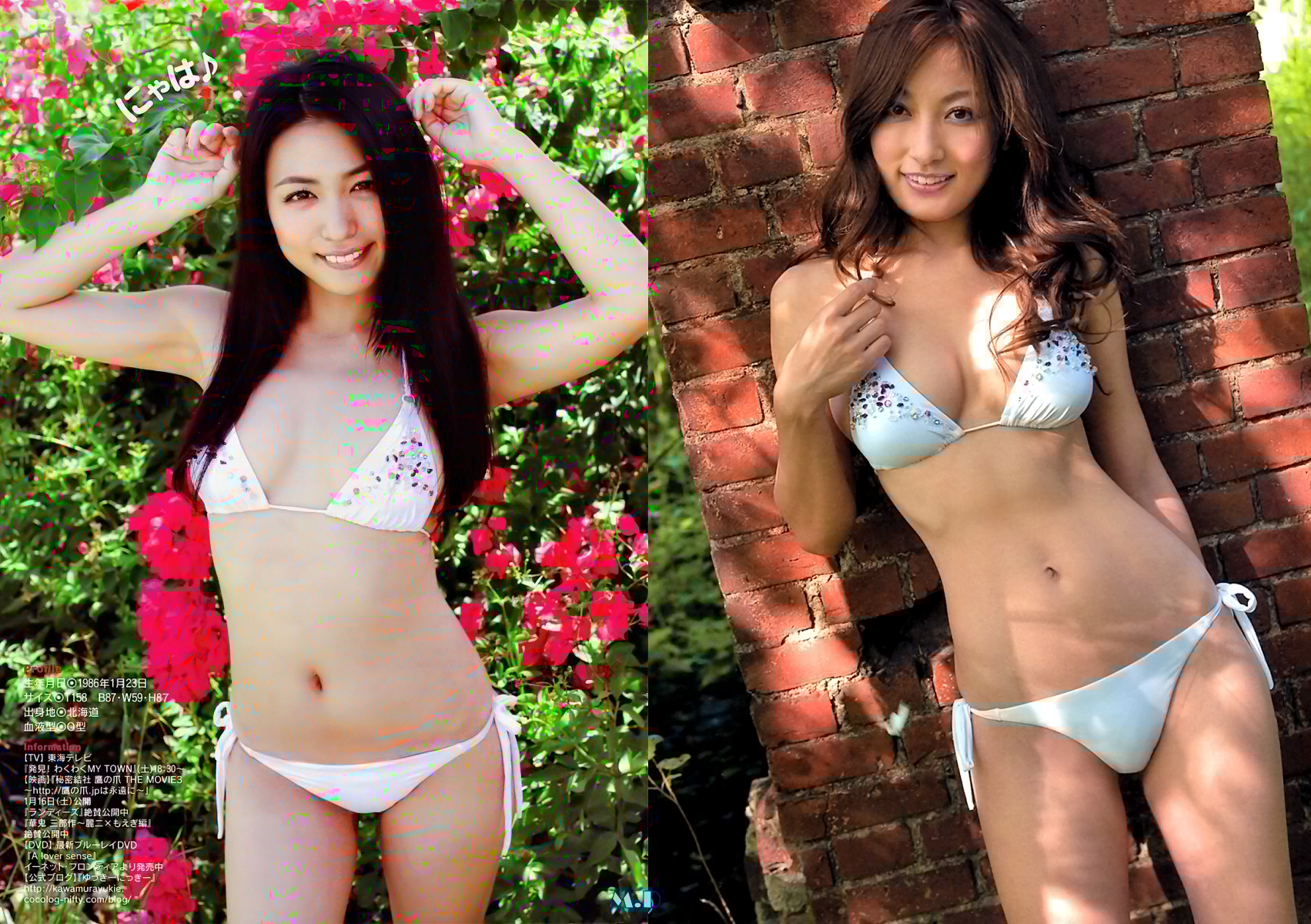 どっちの水着でshow No 1430 川村ゆきえ 熊田曜子 どっちの水着画像館