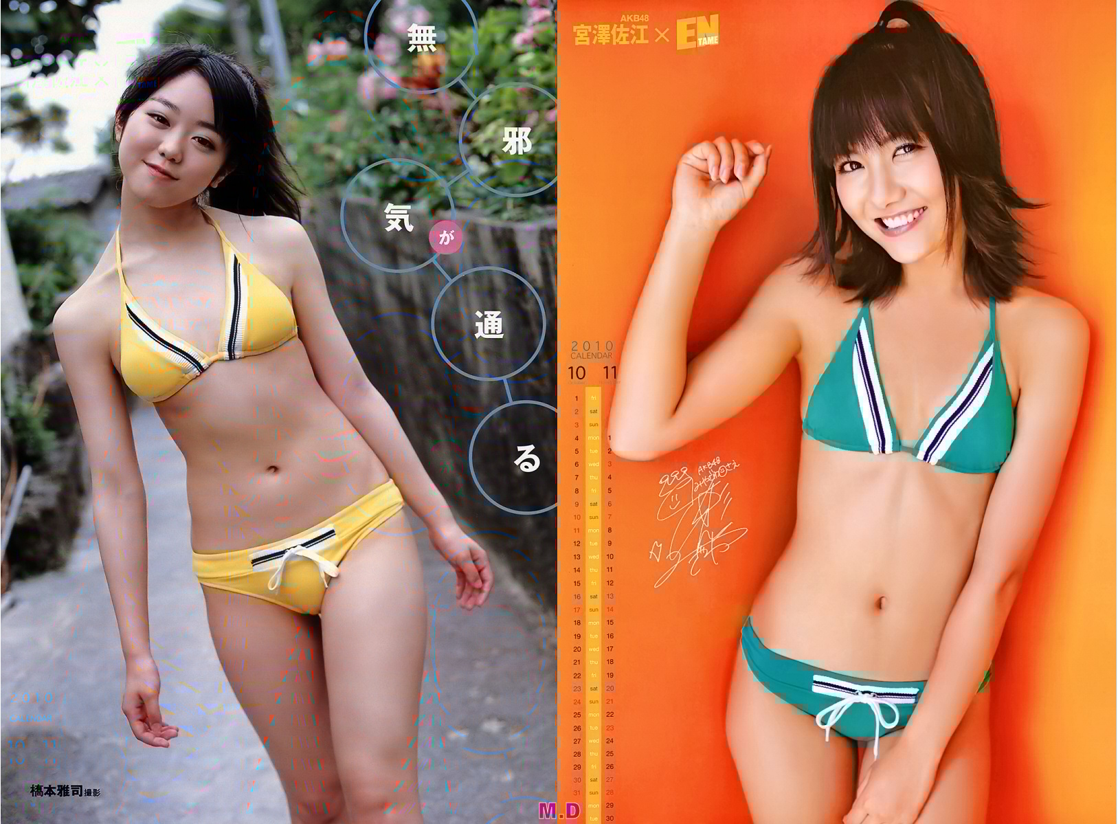 色違い水着でshow No154 峯岸みなみ 宮澤佐江 どっちの水着画像館