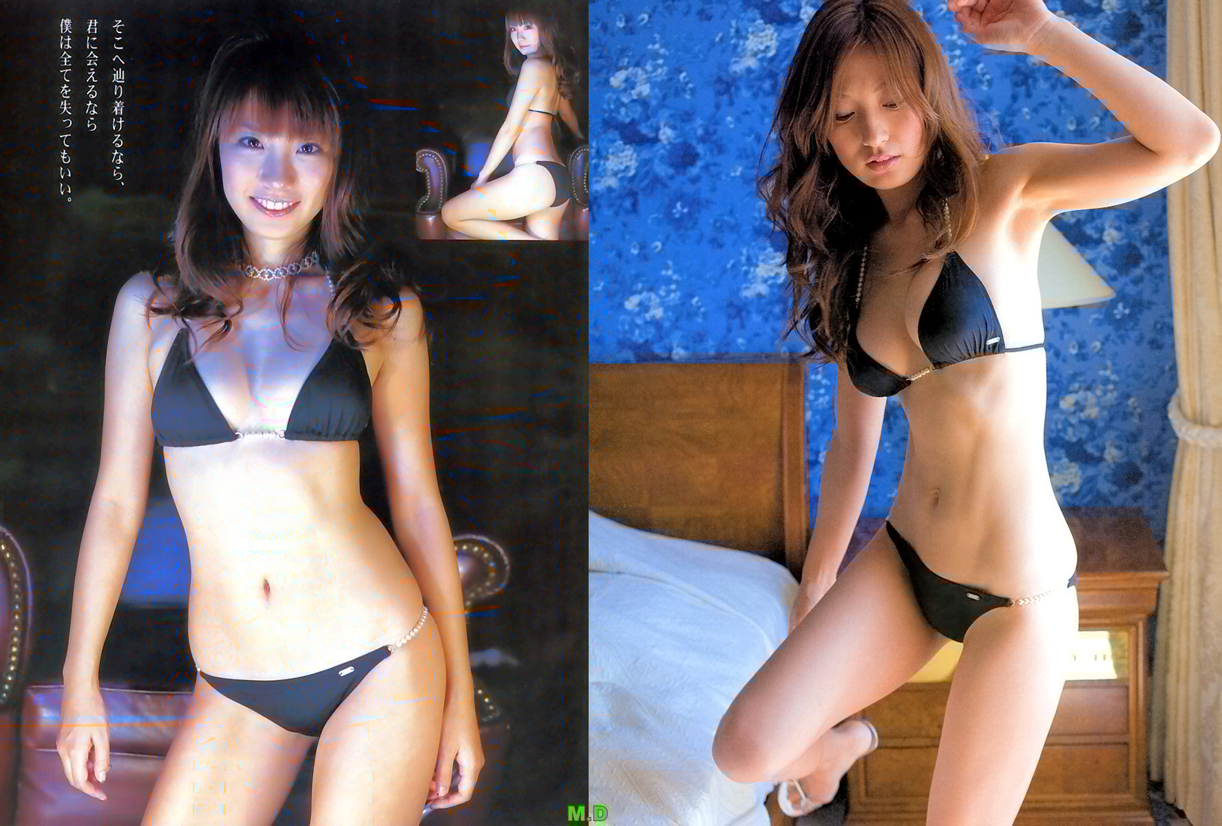 どっちの水着でshow No 1617 山本梓 熊田曜子 どっちの水着画像館