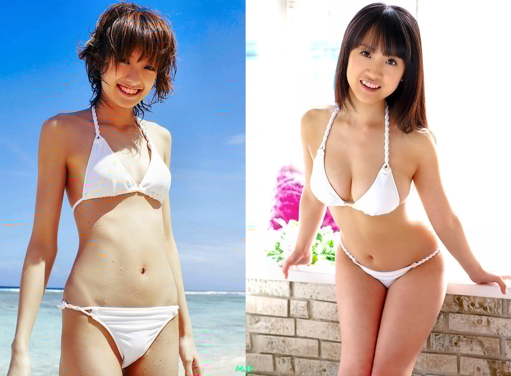 どっちの水着でshow A No772 南明奈 水谷彩也加 どっちの水着画像館