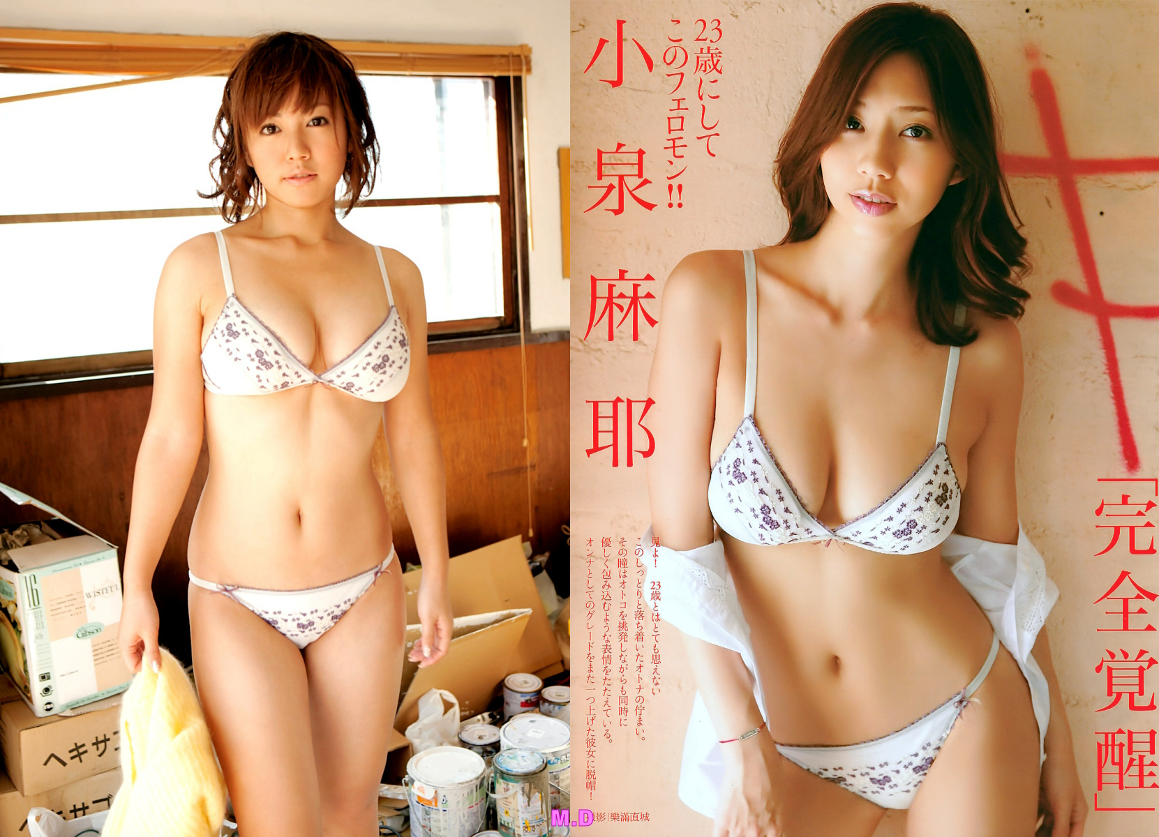 どっちの水着でshow No 1438 磯山さやか 小泉麻耶 どっちの水着画像館