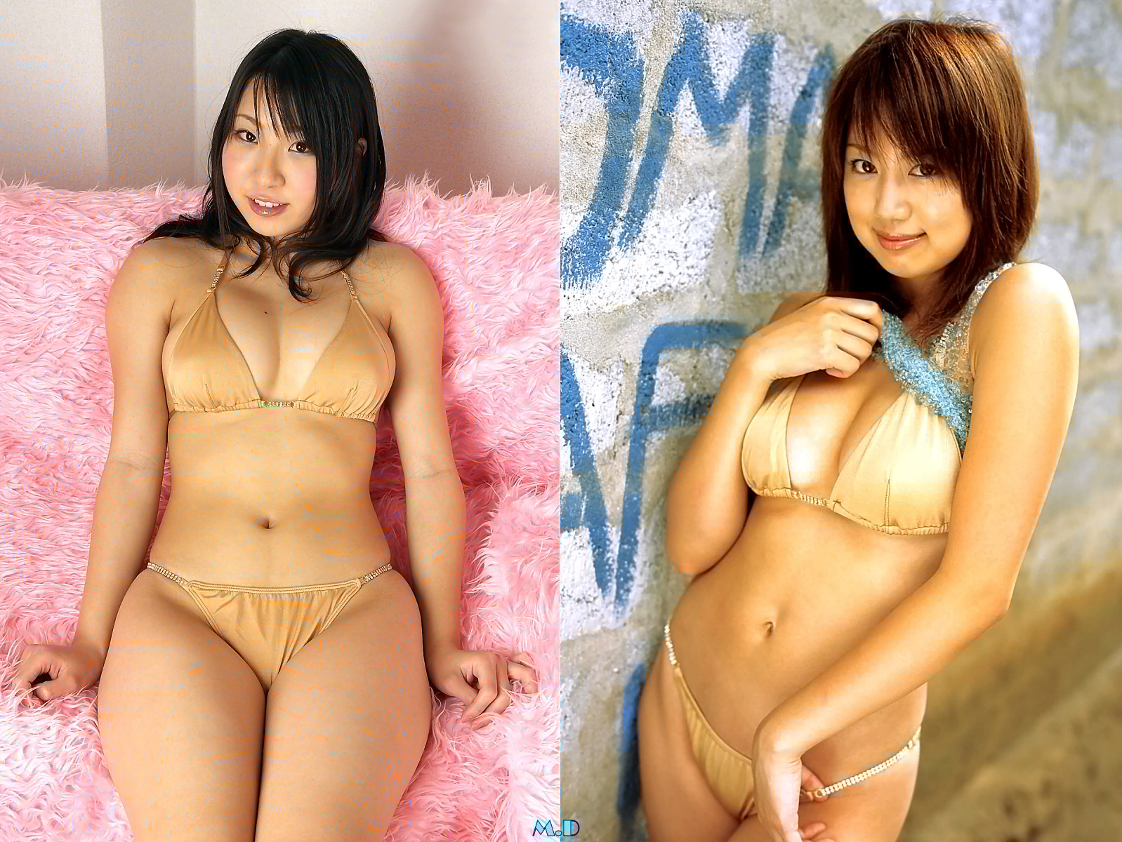 どっちの水着でshow A No6 植野千尋 東原亜希 どっちの水着画像館