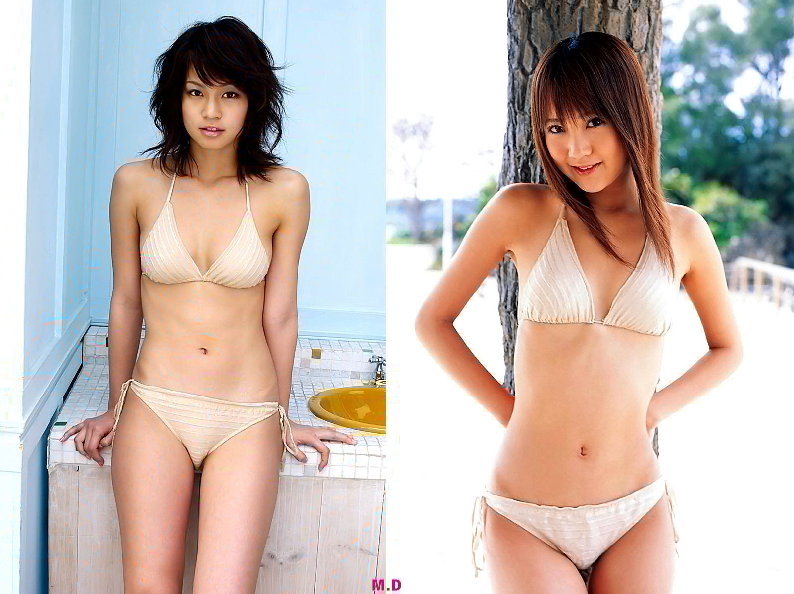 どっちの水着でshow No 1504 安田美沙子 浜田翔子 どっちの水着画像館 どっちの水着でshow No 1504 安田美沙子 浜田翔子 どっちの水着画像館