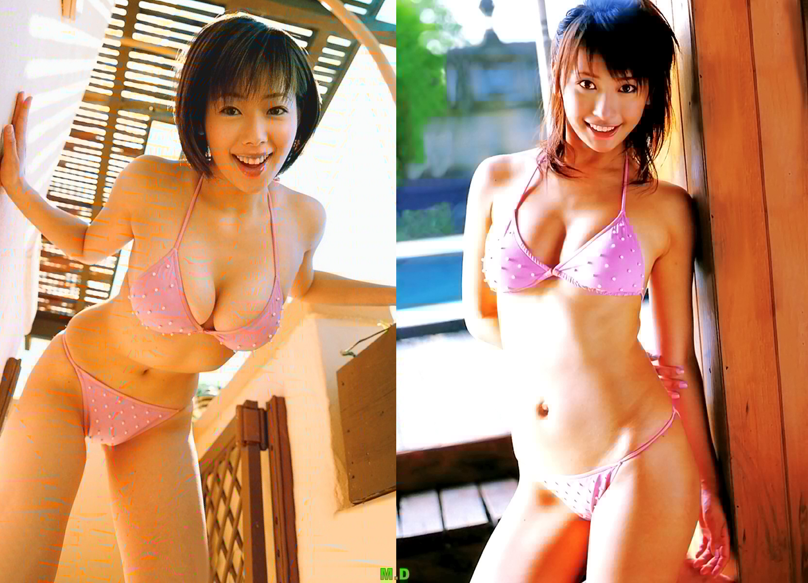 どっちの水着でshow No 1re 井上和香 山崎真実 どっちの水着画像館 どっちの水着でshow No 1re 井上和香 山崎真実 どっちの水着画像館