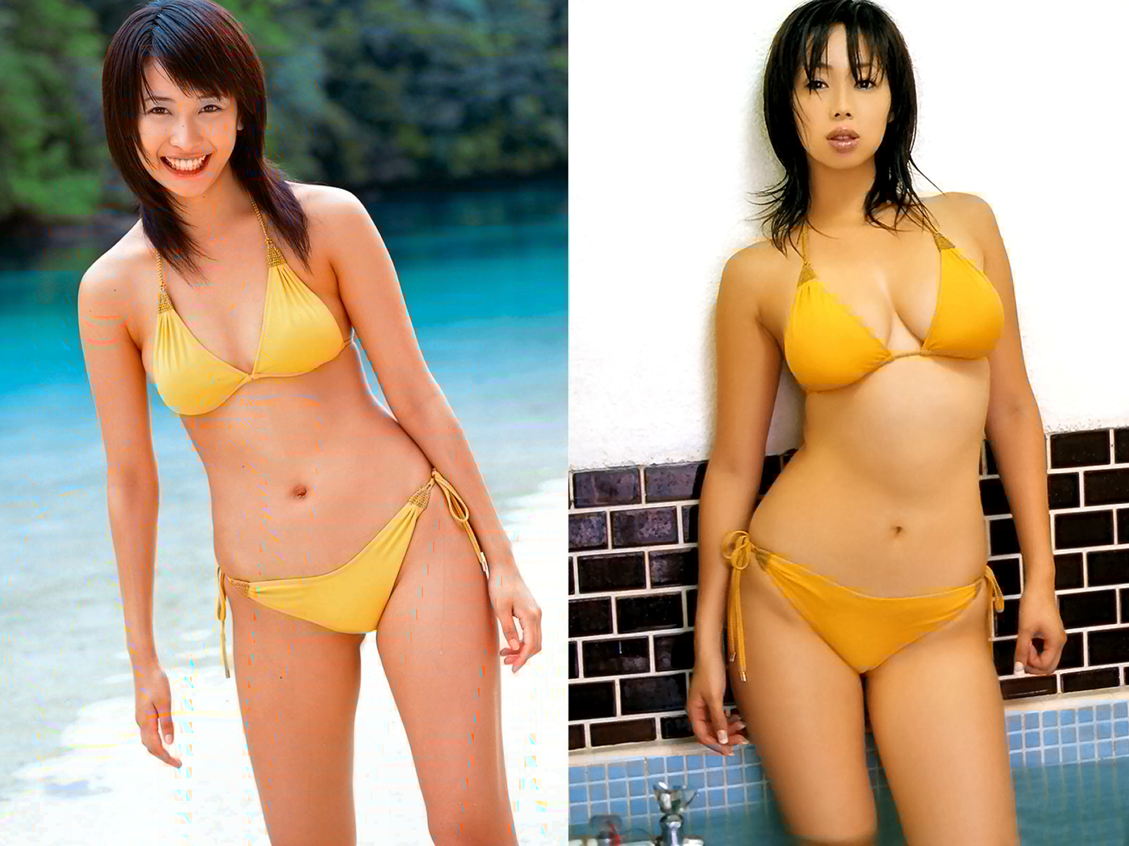 どっちの水着でshow No 223re 山崎真実 井上和香 どっちの水着画像館