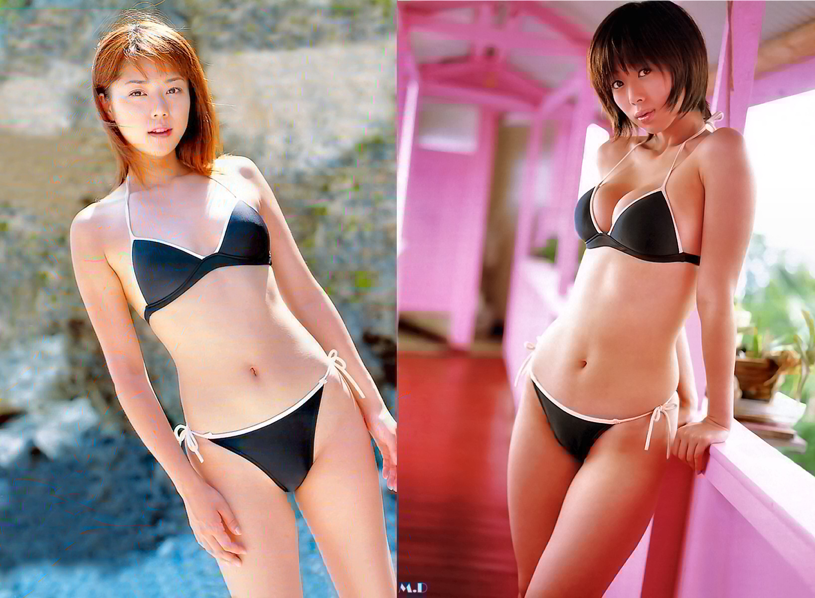 どっちの水着でshow No 1318 吉岡美穂 井上和香 どっちの水着画像館