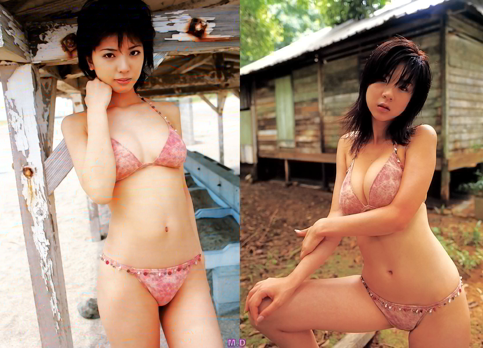 どっちの水着でshow A No934 宮地真緒 ほしのあき どっちの水着画像館