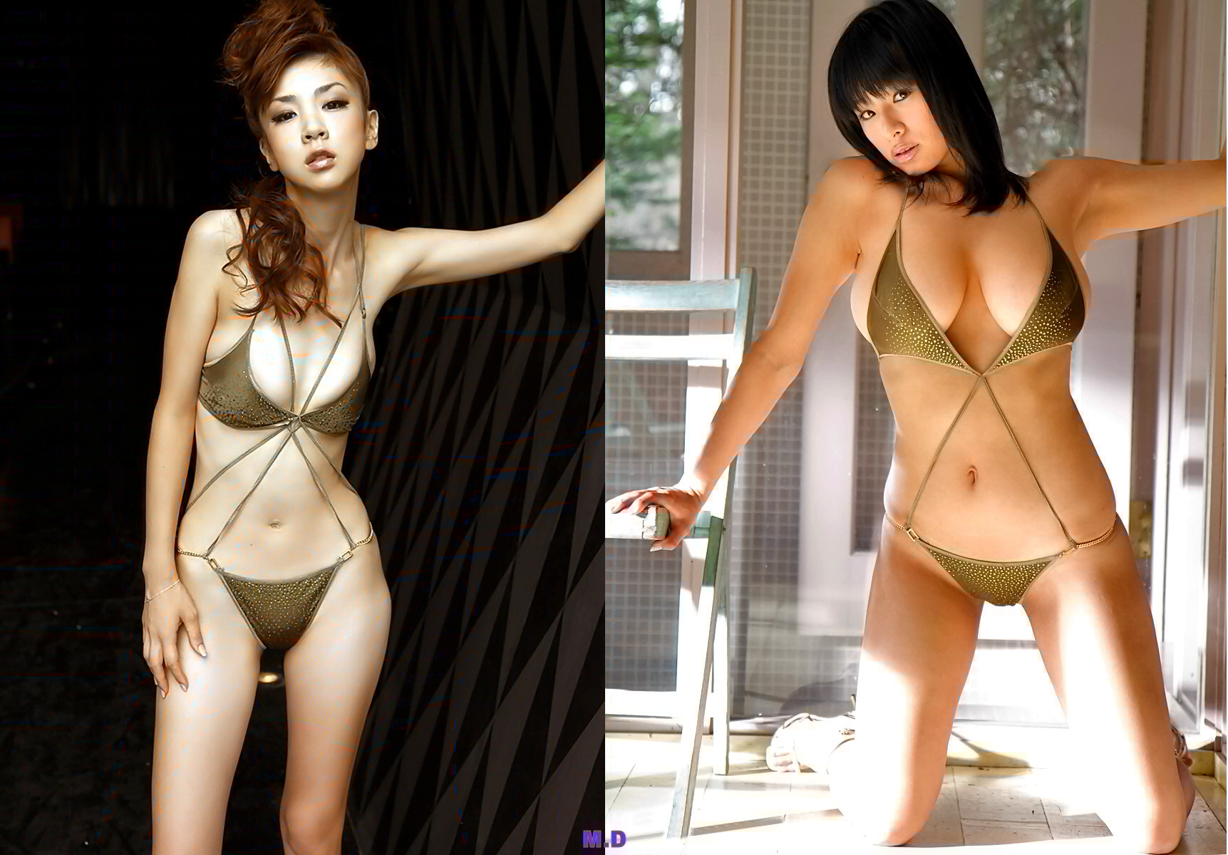 どっちの水着でshow A No951 ほしのあき 春菜はな どっちの水着画像館